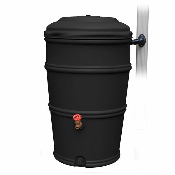 Rain Barrels
