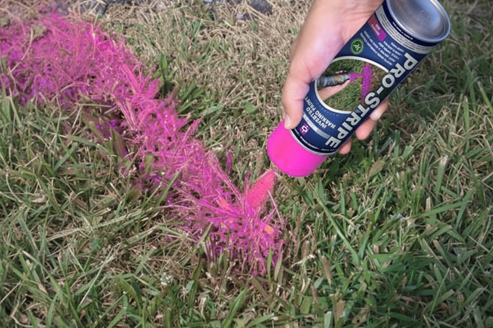 PRO-STRIPE APWA Inverted Marking Paint 